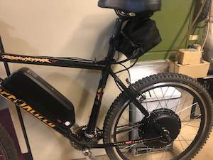 eBike BeachCruiser Showcase